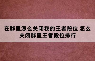 在群里怎么关闭我的王者段位 怎么关闭群里王者段位排行